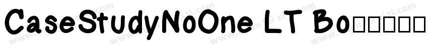 CaseStudyNoOne LT Bo字体转换